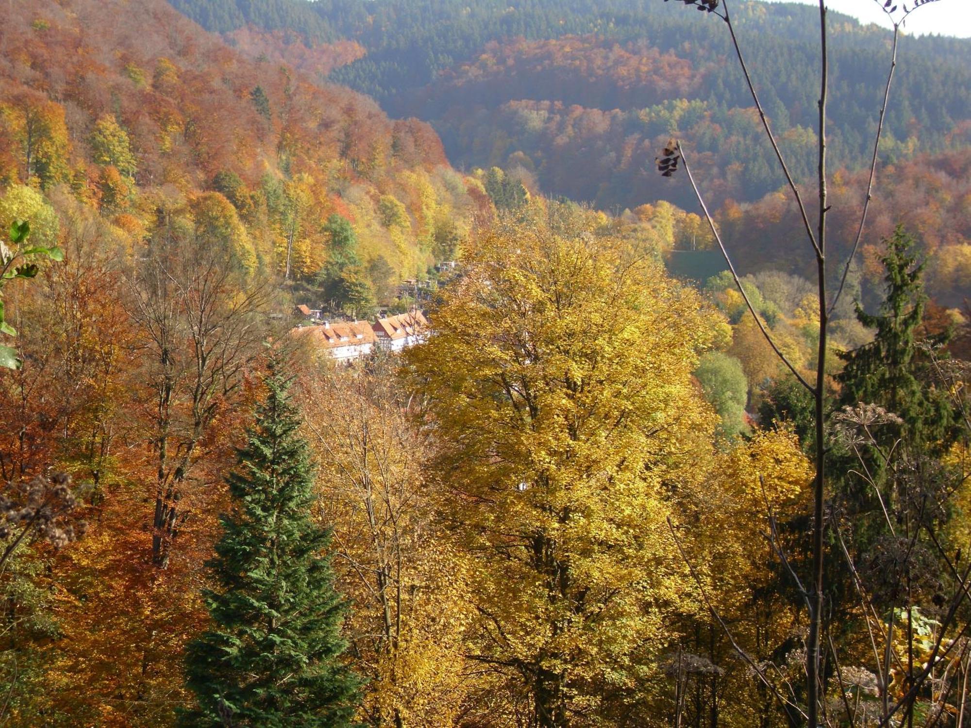 Naturkost-Hotel Harz Bad Grund Kültér fotó