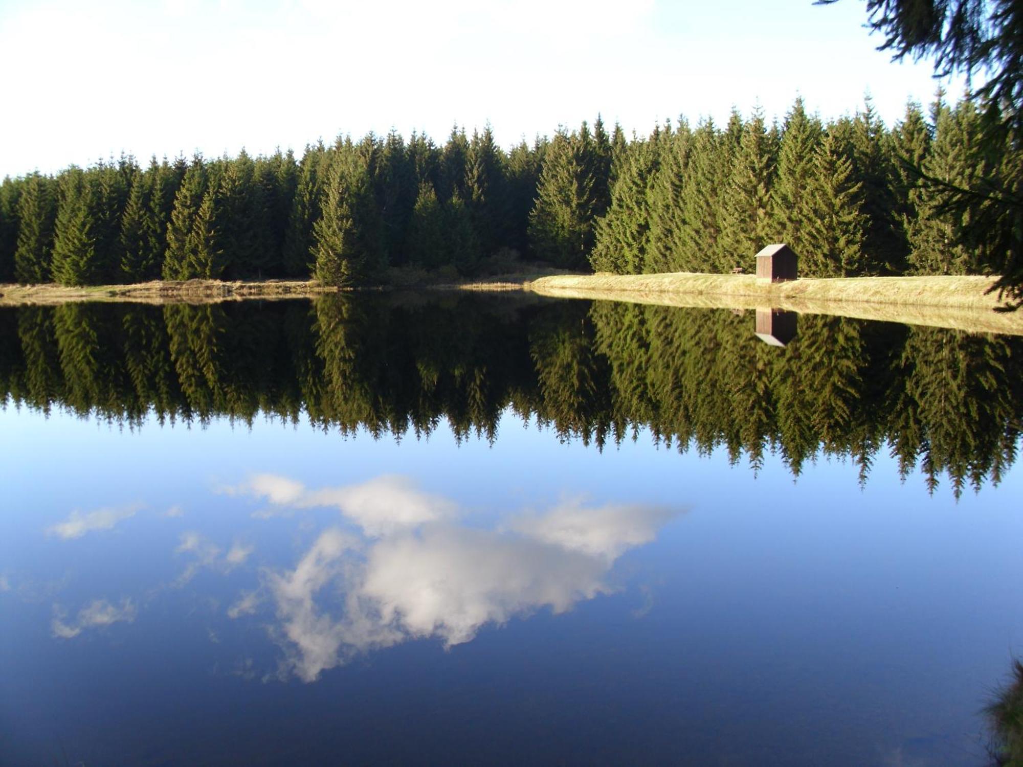 Naturkost-Hotel Harz Bad Grund Kültér fotó