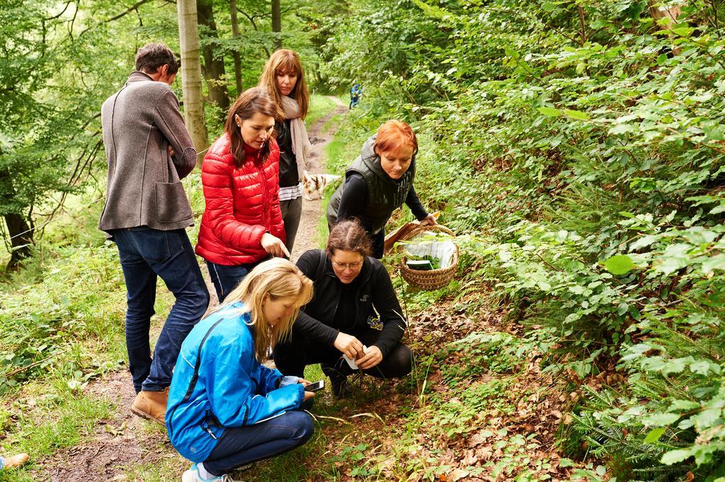 Naturkost-Hotel Harz Bad Grund Kültér fotó